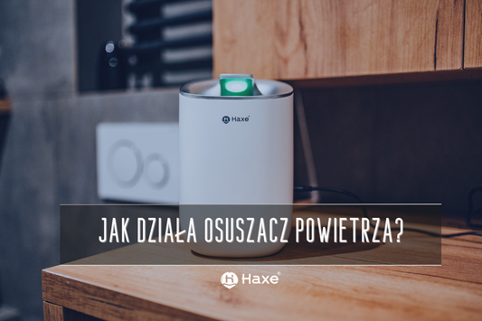 Wilgoć, zapach stęchlizny i grzyb na ścianie – czas na osuszacz powietrza? Zobacz, jak działa!