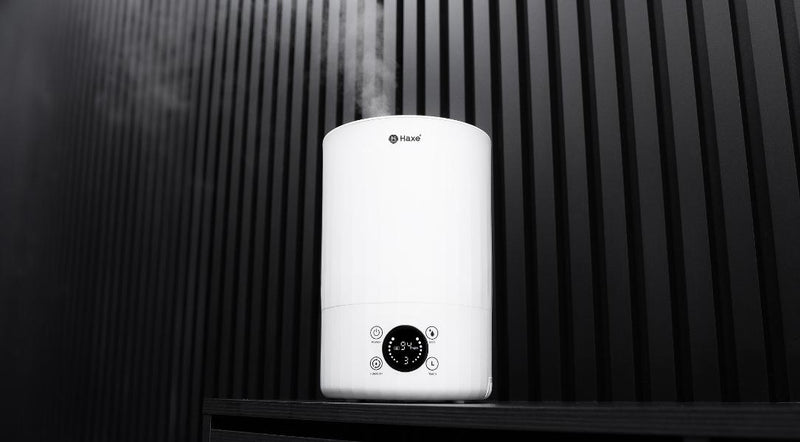 Jak zwiększyć wilgotność powietrza?